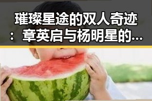 璀璨星途的双人奇迹：章英启与杨明星的崛起之路对比反差