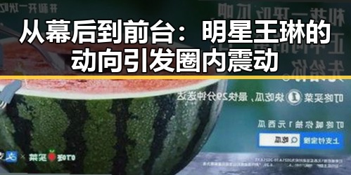 从幕后到前台：明星王琳的动向引发圈内震动